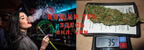 ПСИЛОЦИБИНОВЫЕ ГРИБЫ Слюдянка