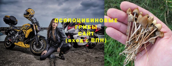 а пвп мука Осинники