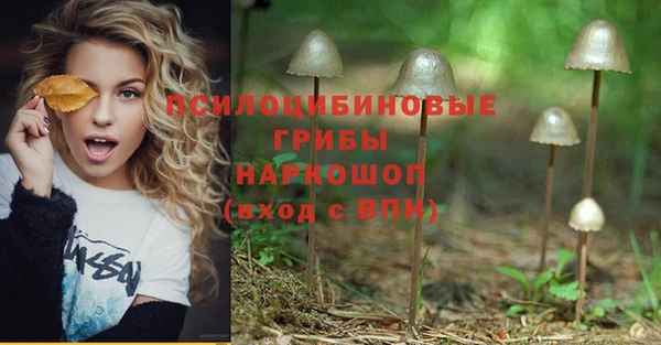 mdpv Снежинск