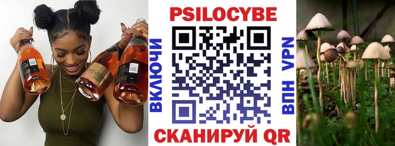 Галлюциногенные грибы мицелий  Александров 