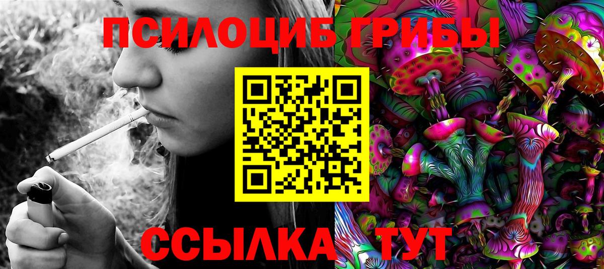 Галлюциногенные грибы Psilocybe Александров