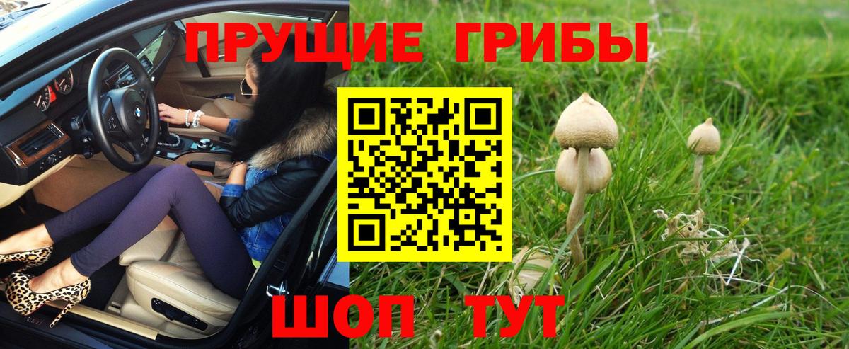 Александров  Псилоцибиновые грибы GOLDEN TEACHER  даркнет сайт  Вход с VPN 