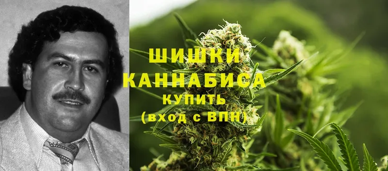 Бошки марихуана индика  купить  сайты  Александров 