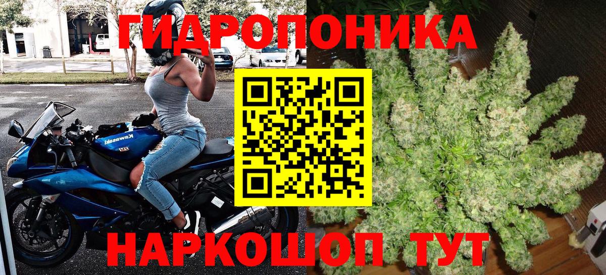 Бошки марихуана White Widow  Бошки Шишки SATIVA & INDICA  Александров  Вход с VPN  Бошки марихуана индика  МАРИХУАНА планчик 